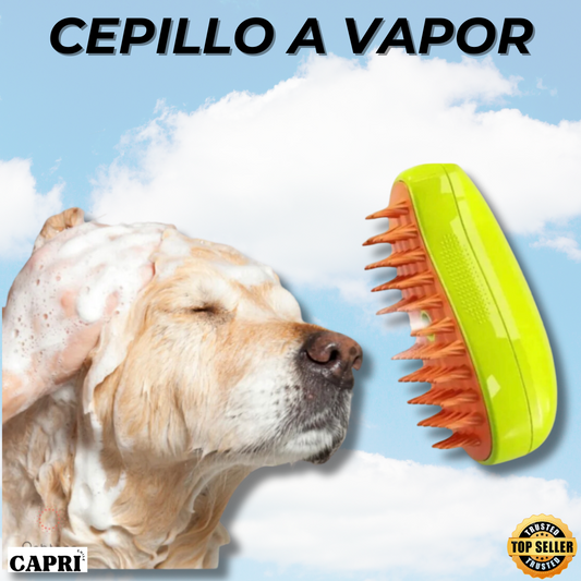 PETSPA - Cepillo a Vapor para Mascotas