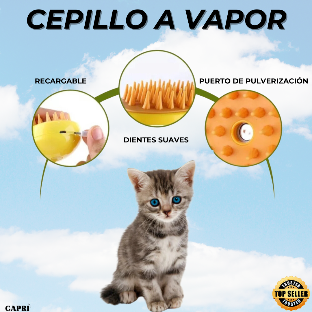 PETSPA - Cepillo a Vapor para Mascotas